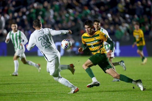 带来了更多 带来了更多