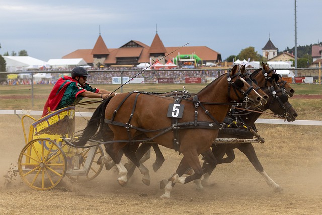 提供休息机 提供休息机