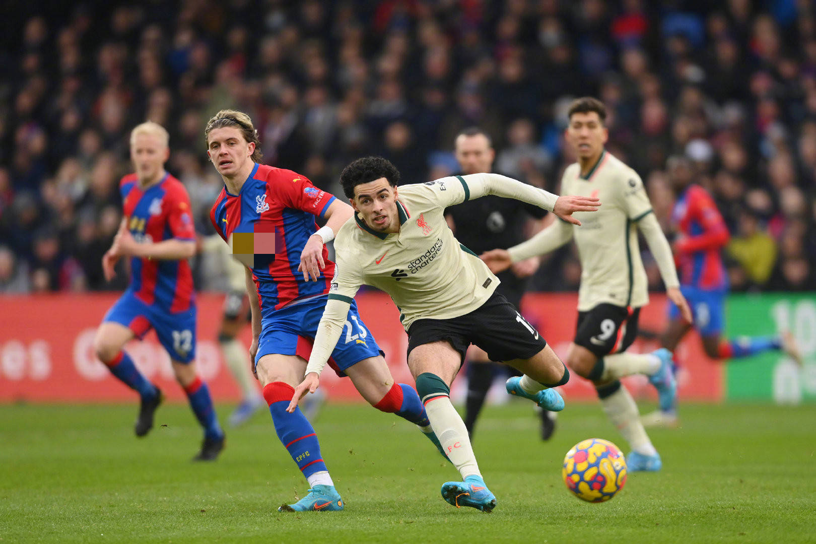 成为球队的 成为球队的